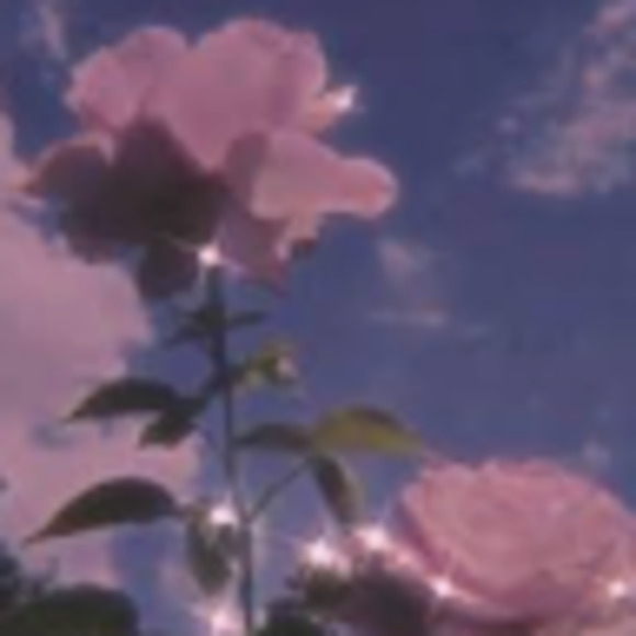 Meet your Posher, Smarlin - Picture 1 of 1